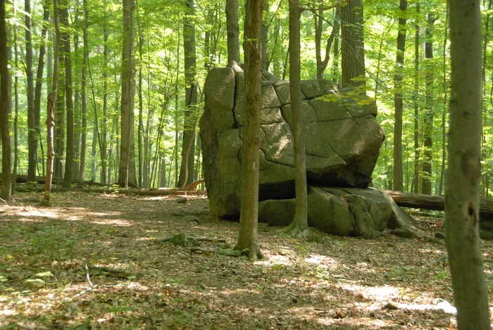 Woodfield Reservation & Princeton Day School/Pond View