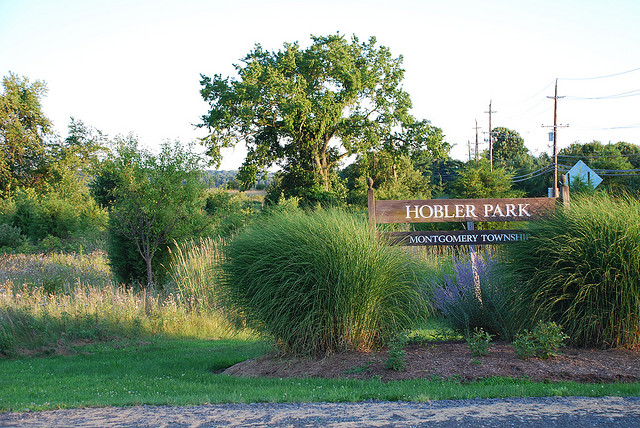 Hobler Park