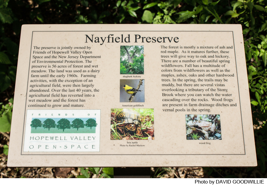 Nayfield Preserve