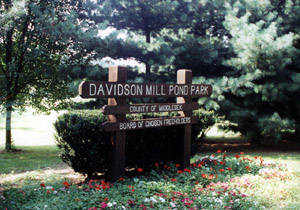 Davidson’s Mill Pond Park