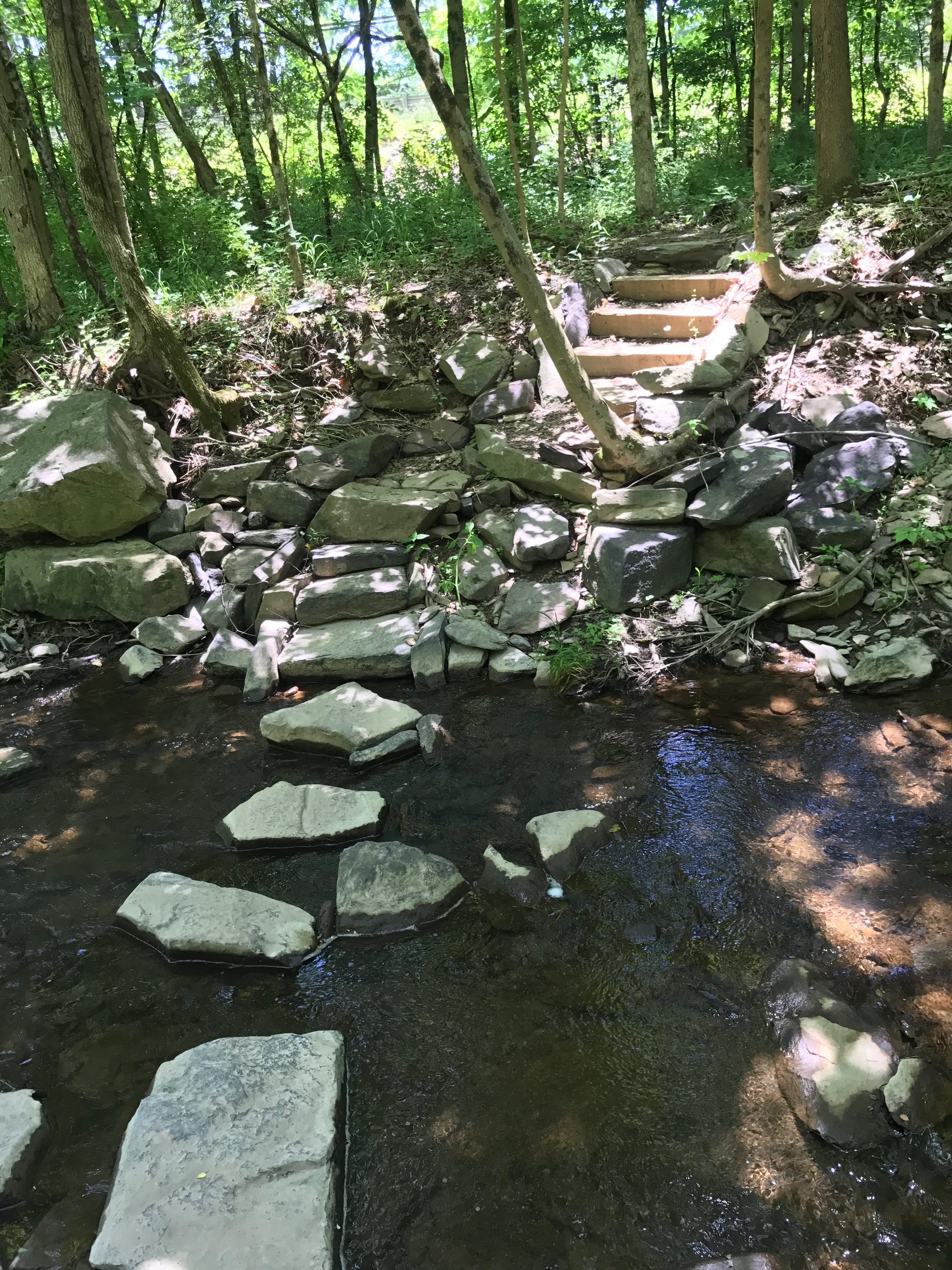 Rocky Brook Trail