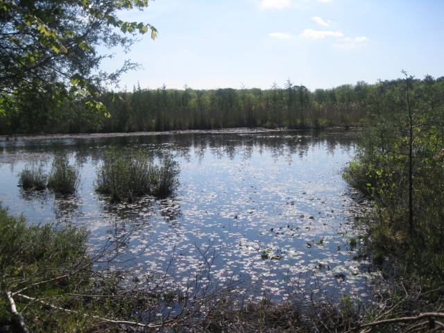 Jamesburg Park Conservation Area