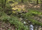 Kyles Trail in Lambertville New Jersey